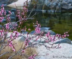 Río los reartes