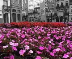 Naturaleza en estado puro