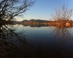 Pantano al atardecer