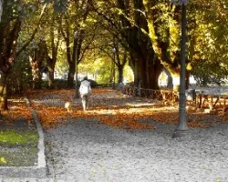 El otoño