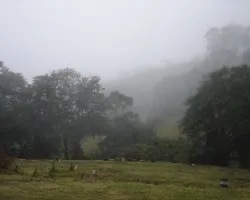 Lluvia1