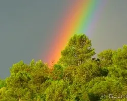 Re: reto del mes de noviembre 2014: lluvia