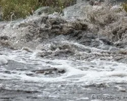 Re: reto del mes de noviembre 2014: lluvia