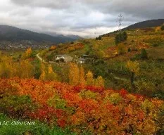 Colores de otoño