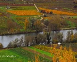 Colores de otoño