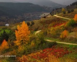 Colores de otoño