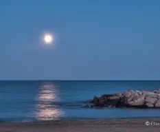 Paz y tranquilidad
