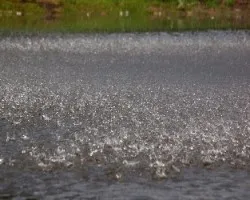 Diamantes de lluvia
