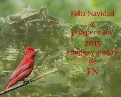 Felices fiestas