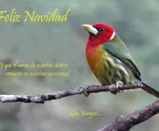 Felicidades