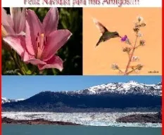 A mis amig@s!!!!