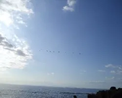 Playa aguja 