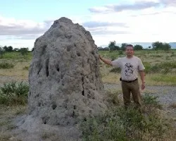 Termitero