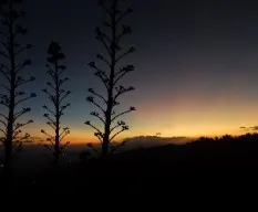 Mirador