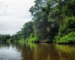 Canales caribeños