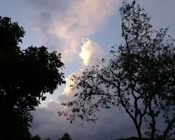 Contraluz