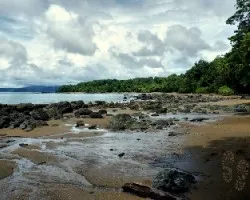 Costa rocosa