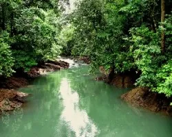Río agujitas