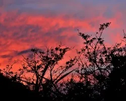 Atardecer