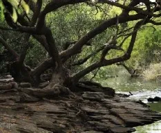 Entre rios