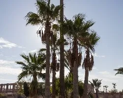 Contraluz