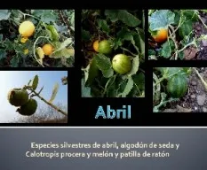 Especies silvestres abril