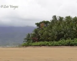 Bahia ballena