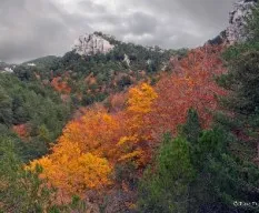 Otoño