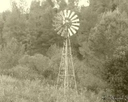 Paisaje de campo otoñal