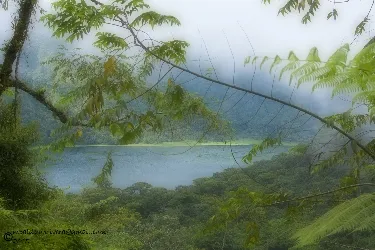 Laguna de hule