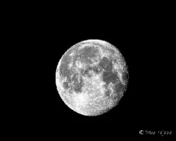 Luna de la cosecha
