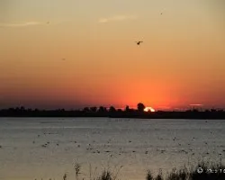 Sol naciente