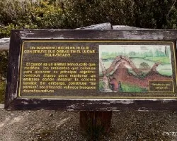 Castorera