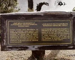 Castorera