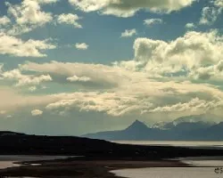 Calafate