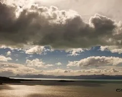 Calafate