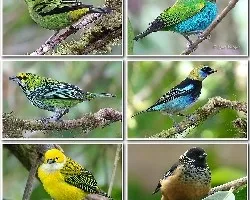 Mosaicos 28