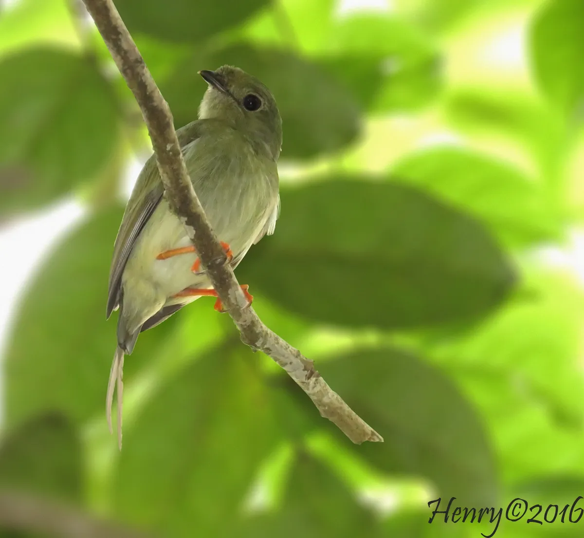 Reserva El Toledo Hojancha Guanacaste