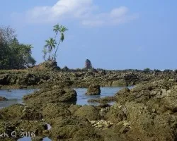 Paisajes de corcovado