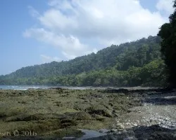 Paisajes de corcovado