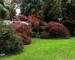 Jardin oto