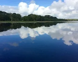 Refugio nacional de vida silvestre caño negro
