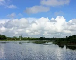 Refugio nacional de vida silvestre caño negro