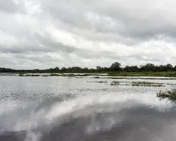 Refugio nacional de vida silvestre caño negro