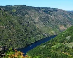Ribeira sacra