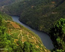 Ribeira sacra