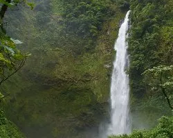 Catarata río blanco