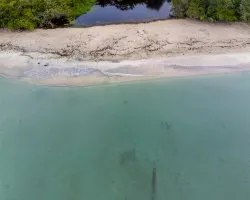 Desembocadura río suarez